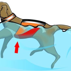 MTI UnderDog canine in water image.