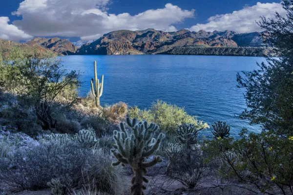 Sup Paddleboard Saguaro Lake