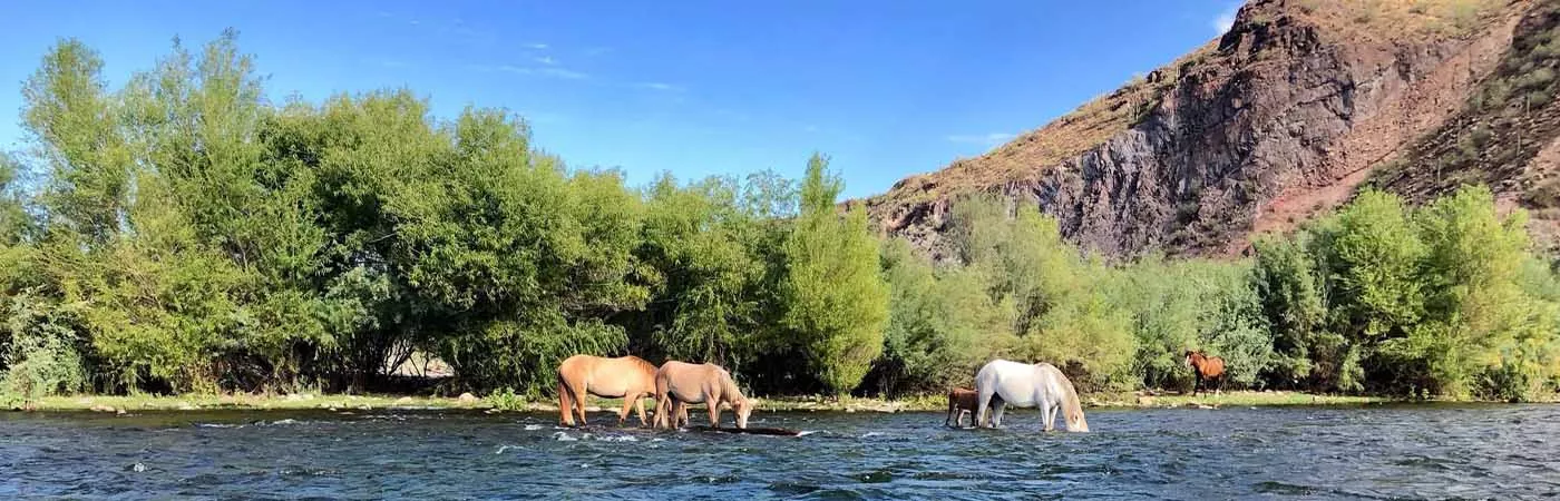 Water Flows - Paddling the Salt River and Verde River