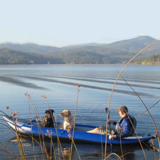 Man paddle the Sea Eagle 380X with two pups on the lake.