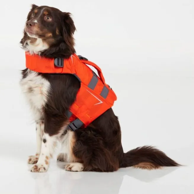 NRS K9 Dog Life Jacket on dog. Available at Riverbound Sports in Tempe, Arizona.
