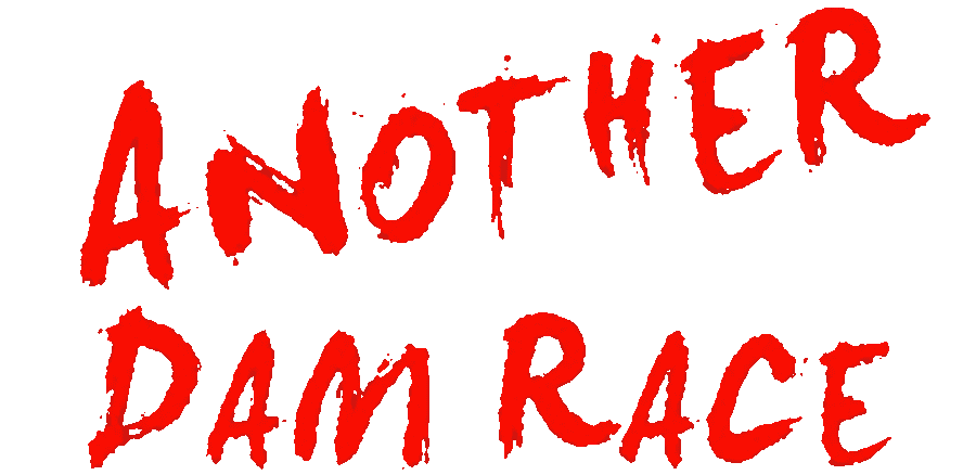 Logo in red for Another Dam Race inn Parer, Arizona.