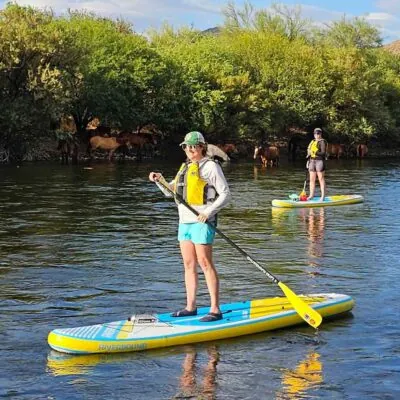 Paddlers paddling with the wild horses on the Salt River. Riverbound Sports paddleboard rentals.
