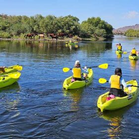 People kayaking on river, horses grazing nearby